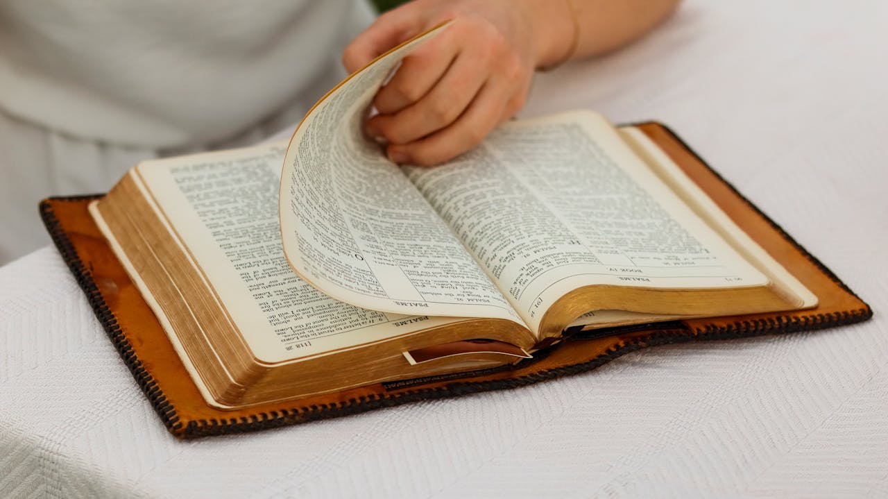 lexical resources