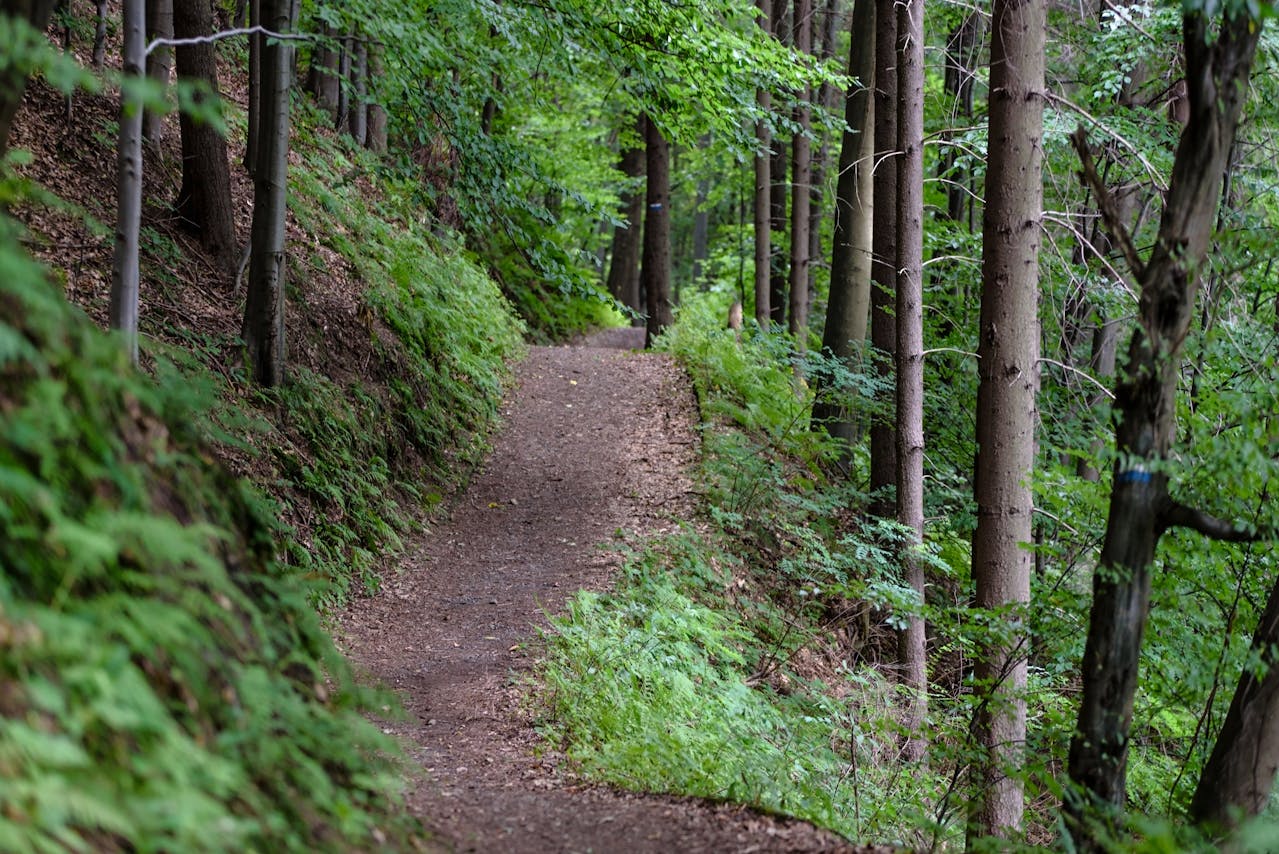 hiking vocabulary