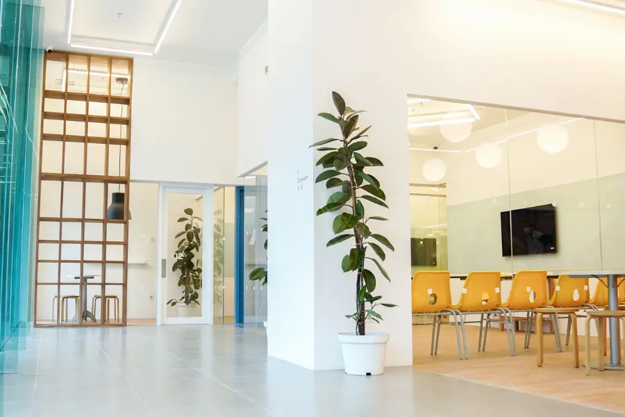 rekomendasi kursus bahasa inggris anak di surabaya